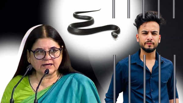 Elvish Yadav Case: పాము విషాన్ని సరఫరా చేసే కింగ్పిన్ ఎల్విష్ యాదవ్ను అరెస్టు చేయాలిః మేనకా గాంధీ