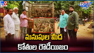 Python: ఐటీ బోయ్స్‌ హాస్టల్‌లో మంచంకింద నక్కిన భారీ కొండచిలువ.. ఆతర్వాత.?