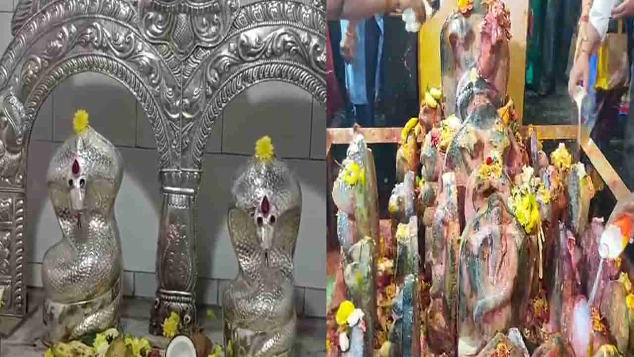 Nagula Chavithi: ఏపీలో ఘనంగా నాగుల చవితి వేడుకలు.. సుబ్రమణ్య స్వామి ఆలయాలు, పుట్టల వద్ద పాలు పోస్తున్న భక్తులు