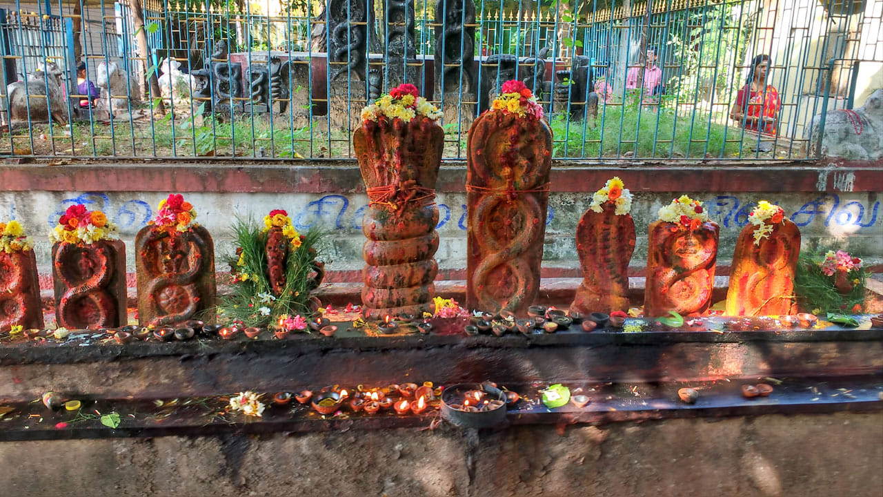 Nagula Chavithi: దీర్ఘకాలిక వ్యాధులతో బాధపడుతున్నారా.? నాగుల చవితి రోజు ఇలా చేయండి..