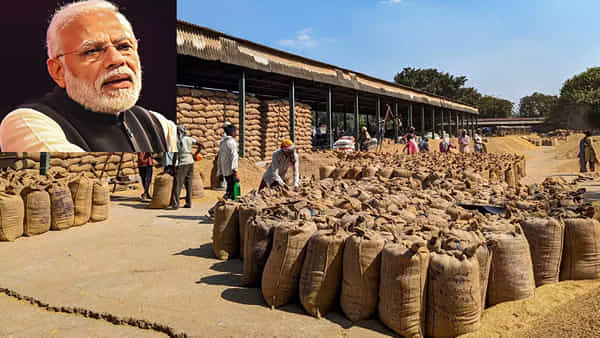 Rice Exports: ప్రపంచ దేశాల్లో ధాన్యం ధరలు పెంచేందుకు మోదీ సర్కార్ కీలక నిర్ణయం..
