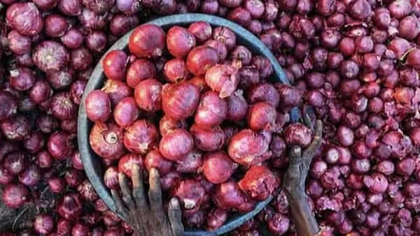 Onion Price Today: కేవలం రెండు రోజుల్లోనే సెంచరీ మార్క్ దాటిన ఉల్లిధర.. అక్కడ రూ.25లకే కిలో ఉల్లి