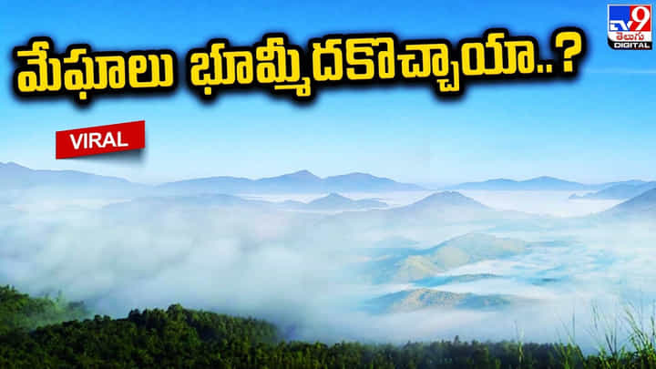 పాడేరు మంచు అందాలు.. మేఘాలకొండకు పెరిగిన పర్యాటకుల తాకిడి పాడేరు మంచు అందాలు.. మేఘాలకొండకు పెరిగిన పర్యాటకుల తాకిడి