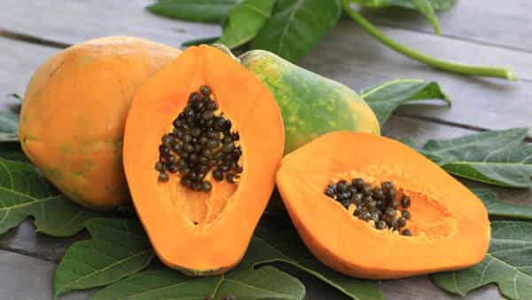 Effects of Papaya: బొప్పాయి తిన్న వెంటనే వీటిని తినేస్తున్నారా.. అయితే రిస్క్ లో పడ్డట్లే!