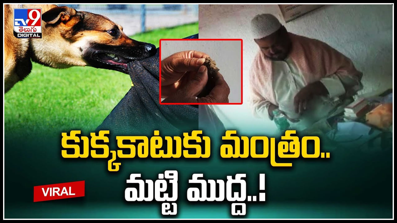 Peddapally: కుక్కకాటుకు మంత్రం., మట్టి ముద్ద..! రేబిస్‌ రాదంటున్న నాటు వైదుడు.