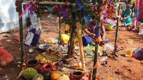 ఇదో వింత ఆచారం.. ముల్లులతో ఏర్పాటు చేసిన ఊయలలో ఊగితే.. ఇదో వింత ఆచారం.. ముల్లులతో ఏర్పాటు చేసిన ఊయలలో ఊగితే..
