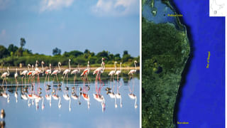 AP Weather: రాబోయే 2 రోజులు ఏపీలోని ఈ ప్రాంతాల్లో వర్షాలు