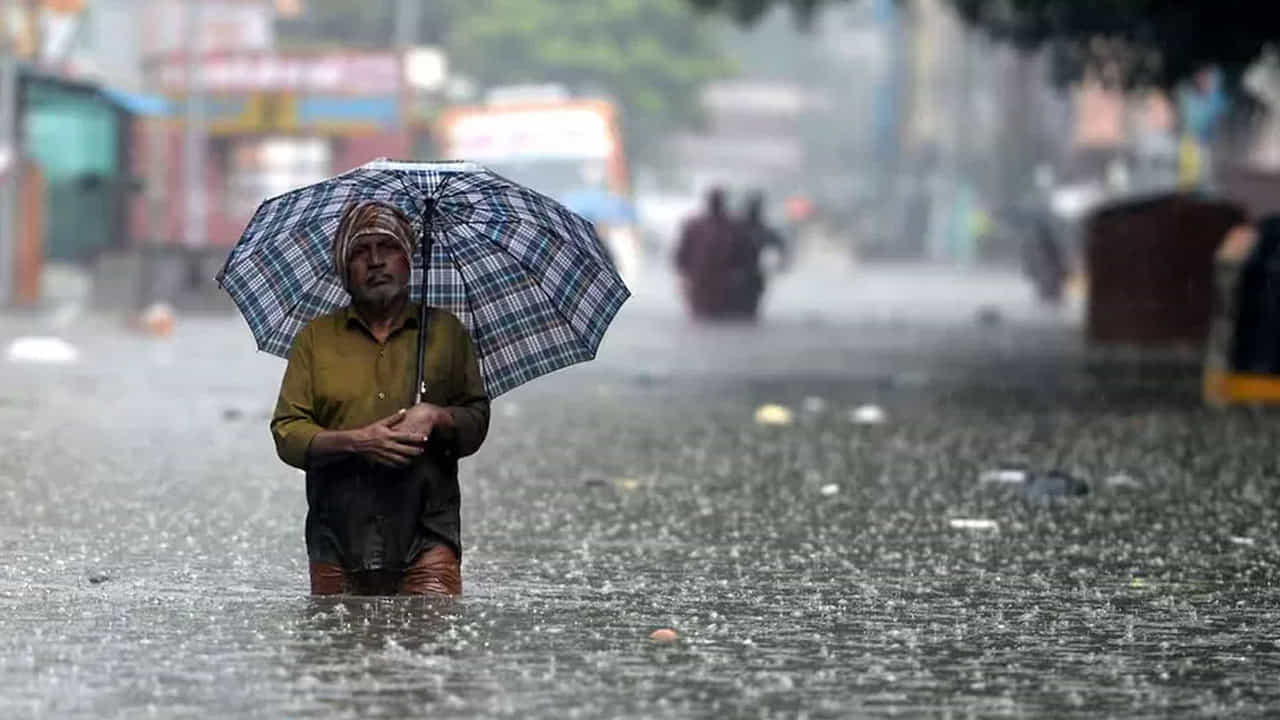 శుక్రవారం నాటికి ఇది ఉత్తర- ఈశాన్య దిశగా తిరిగి ఒడిశా తీరానికి చేరుకుంటుందని వాతావరణ శాఖ పేర్కొంది. మరోవైపు నైరుతి బంగాళాఖాతంలో ఉపరితల ఆవర్తనం కొనసాగుతోంది. వీటి ప్రభావంతో వర్షాలు కురుస్తాయని పేర్కొంది.