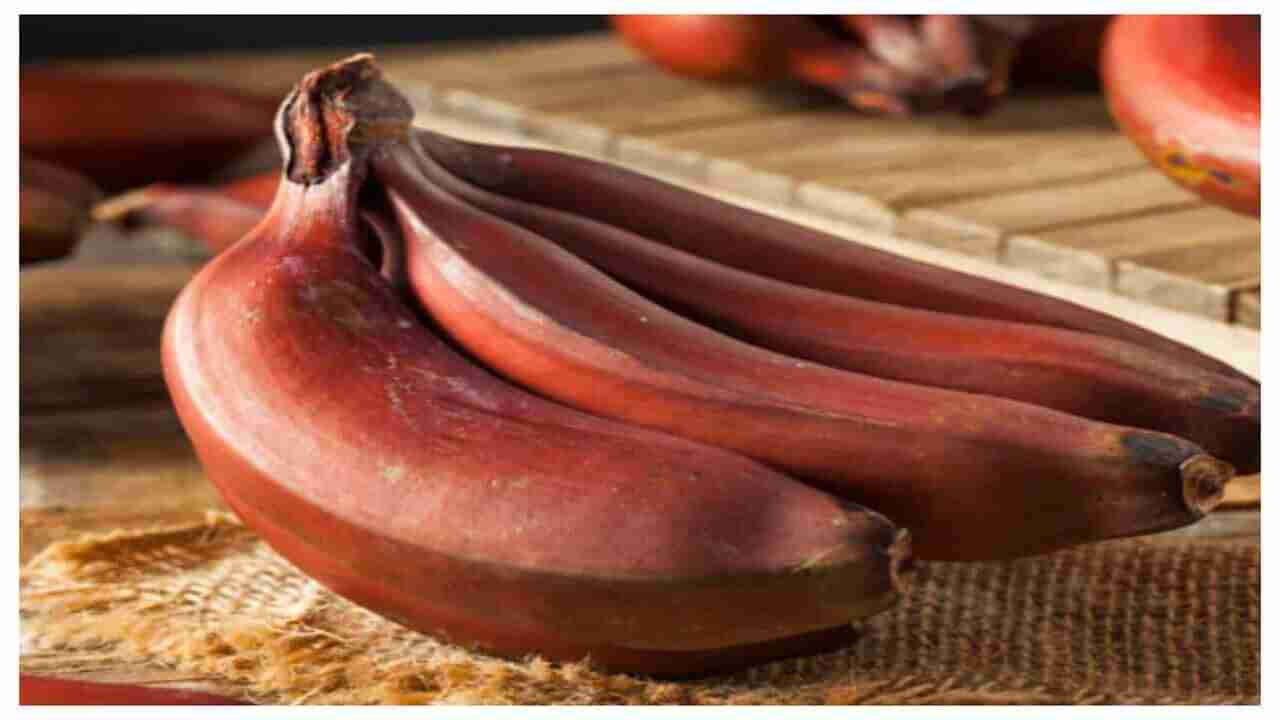 Red Banana Benefits: ఈ ఎరుపు రంగు అరటి పండు తింటే.. సంతానలేమి సమస్యలు ఉండవు!