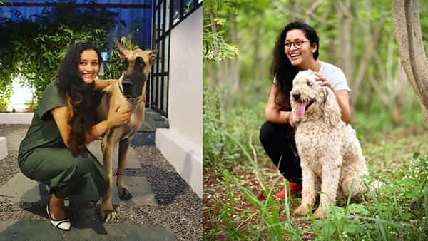 Renu Desai: రేణూ దేశాయ్ మంచి మనసు.. మూగజీవాల ఆపరేషన్ కోసం విరాళం.. మరింత సాయం చేయాలని పిలుపు