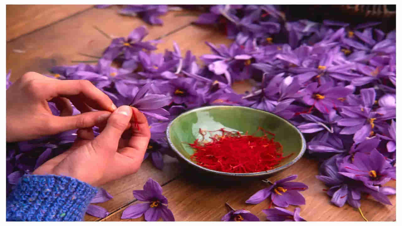 Saffron Benefits: కుంకుమ పువ్వుతో రంగు మాత్రమే కాదు.. గుండె జబ్బులు, డిప్రెషన్ మాయం!