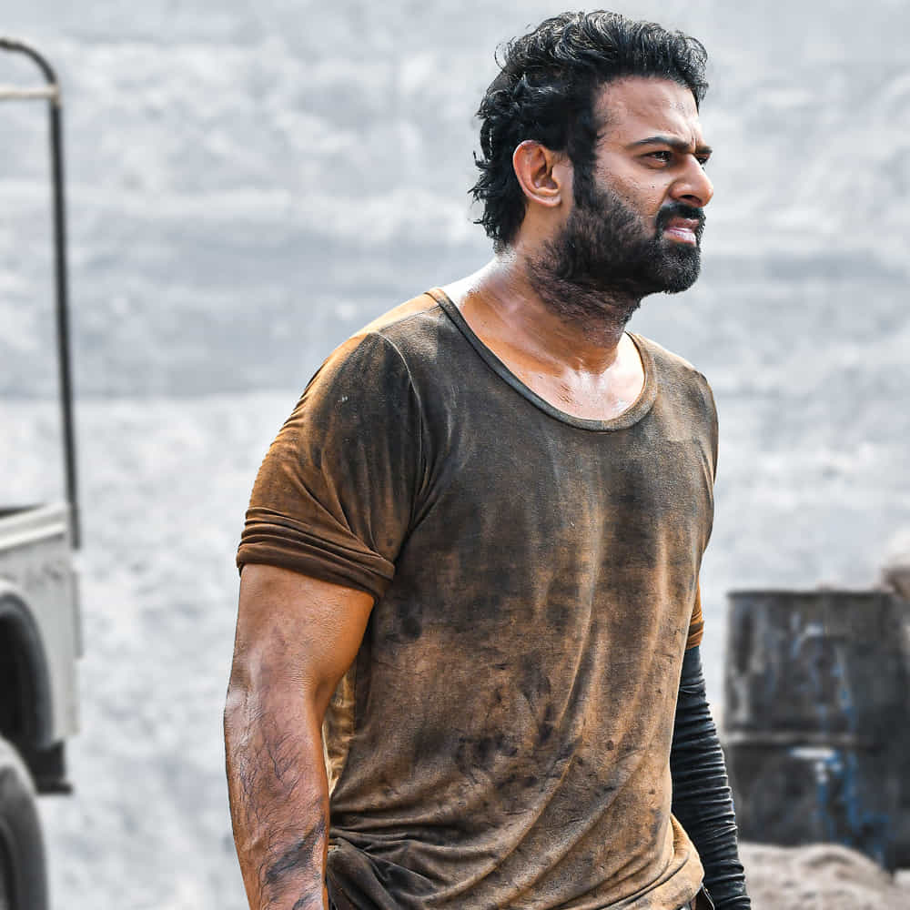 తమిళనాడు, కేరళలోనూ రికార్డ్ బిజినెస్ వైపు అడుగులేస్తుంది సలార్. మలయాళ రైట్స్ పృథ్వీరాజ్ సుకుమారన్ తీసుకుంటే.. తమిళ రైట్స్ రెడ్ జెయింట్ ఫిలిమ్స్ తీసుకున్నట్టు అధికారికంగా ప్రకటించారు మేకర్స్.