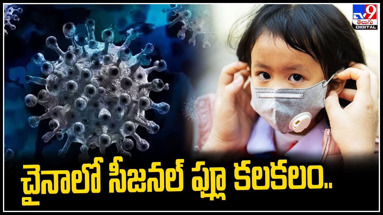 States Alert: చైనాలో సీజనల్ ఫ్లూ కలకలం.! భారత్‌లో 6 రాష్ట్రాలు అలర్ట్‌..! వీడియో.