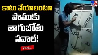 Viral House: నాలుగు అడుగుల స్థలంలో 3 అంతస్తుల భవనం.. ఆకట్టుకుంటున్న ఇళ్ల నిర్మాణం.