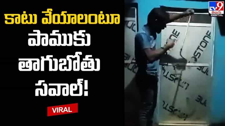కాటు వేయాలంటూ పాముకు తాగుబోతు సవాల్ !! చివరికి ?? కాటు వేయాలంటూ పాముకు తాగుబోతు సవాల్ !! చివరికి ??