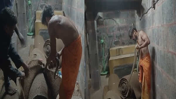 Mallanna Temple: మల్లన్న ఆలయంలో ఓ వైపు కార్తీక పౌర్ణమి శోభ.. మరోవైపు దర్శనం ఇచ్చిన నాగన్న..