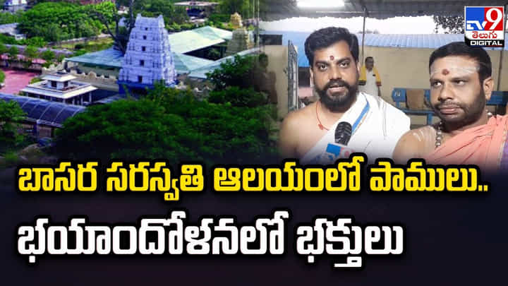 Basara: బాసర సరస్వతి ఆలయంలో పాములు.. భయాందోళనలో భక్తులు.. వీడియో. Basara: బాసర సరస్వతి ఆలయంలో పాములు.. భయాందోళనలో భక్తులు.. వీడియో.