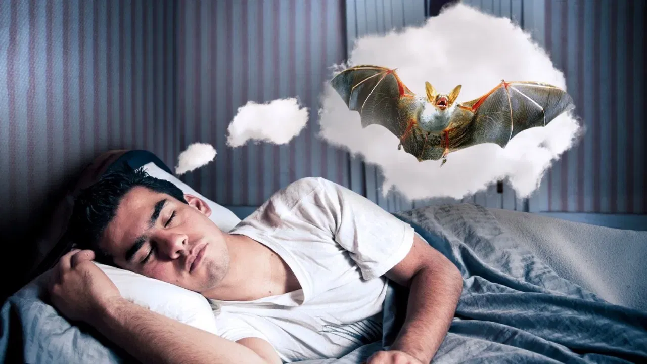 అలాగే కలలో తల్లిదండ్రులు, చిన్న పిల్లలు, గర్భిణీ స్త్రీలు, ఏనుగులు కనిపిస్తే త్వరలోనే మీకు ఐశ్వర్యం కలుగుతుంది. మీ ముఖం అద్దంలో చూస్తున్నట్లు, ఆకులు, కాయలు తింటున్నట్లు, చంద్రుడు కనిపిస్తే.. మీ జీవితంలో సంతోషం, శాంతి కలుగుతాయని సంకేతం.
