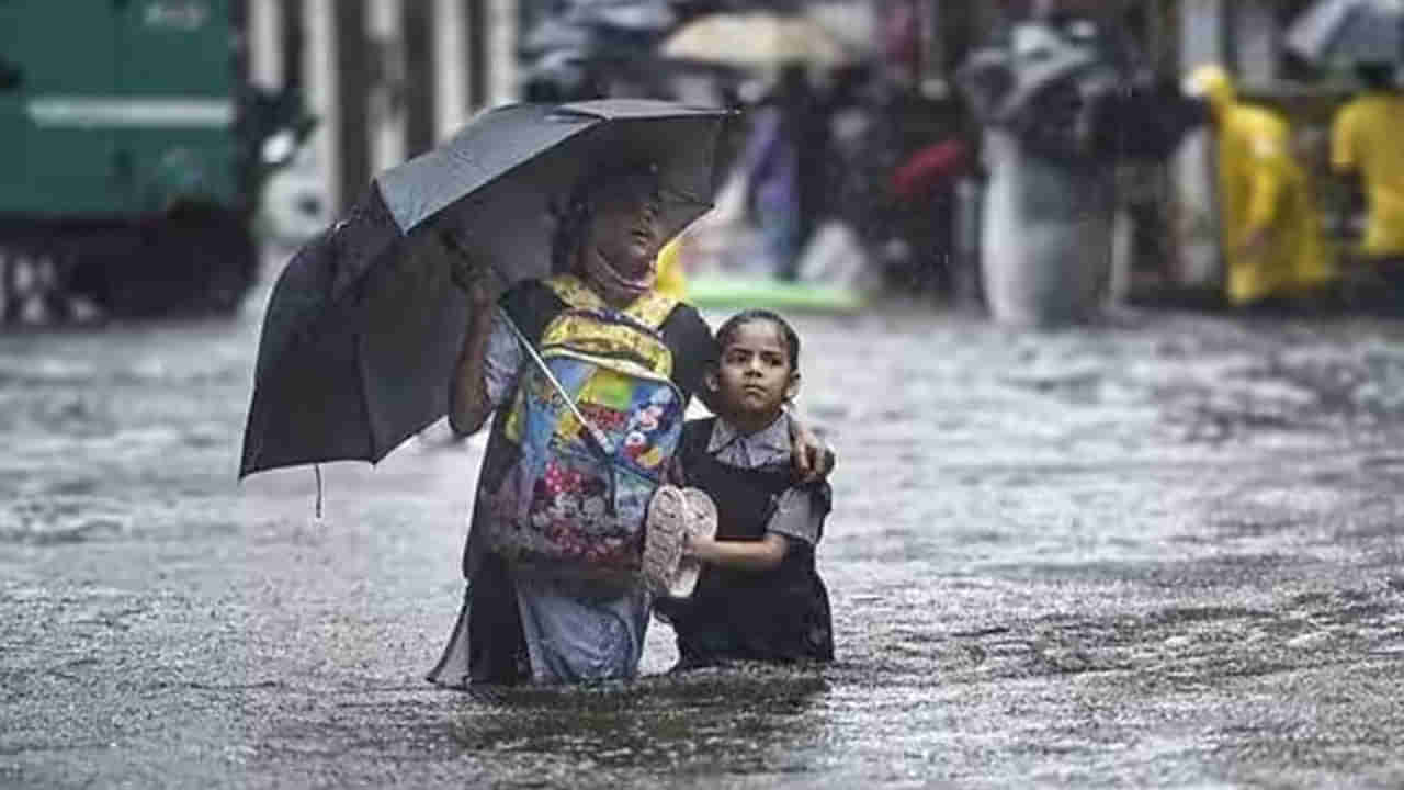 School Holidays: తమిళనాడు, కేరళలో దంచికొడుతోన్న వానలు.. విద్యాసంస్థలకు సెలవులు ప్రకటన