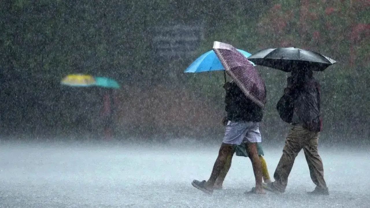 Tamil Nadu Rains: తమిళనాడులో ఎడతెరిపి లేకుండా కురుస్తోన్న భారీ వర్షాలు.. స్కూళ్లు, కాలేజీలు బంద్‌!