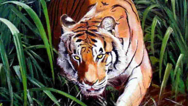 Wild Animals Attack: ఉత్తరాఖండ్లో వన్యప్రాణుల భీభత్సం.. ప్రాణాలు కోల్పోయిన 11 మంది, పదుల సంఖ్యలో క్షతగాత్రులు