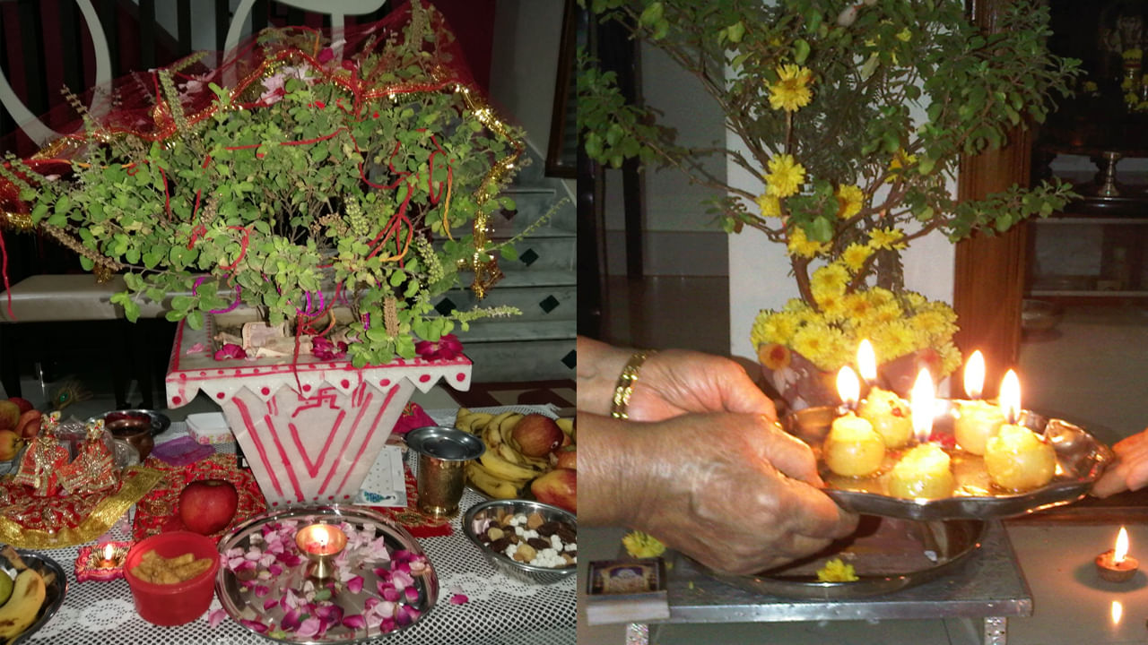 Tulsi Vivah 2023 పెళ్లి ఆలస్యం అవుతుందా.. తులసి కళ్యాణం చేసి చూడండి