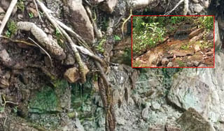 AP Train Accident: కంటకాపల్లి రైలు ప్రమాదానికి అసలు కారణం ఇదే.. ఆ రోజున ఏం జరిగిందంటే..