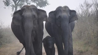 రాజకీయాల్లోకి భోజ్‌పురి సినీ నటి.. ప్రశాంత్ కిషోర్ జన్ సూరజ్ అభియాన్‌లో అక్షర సింగ్