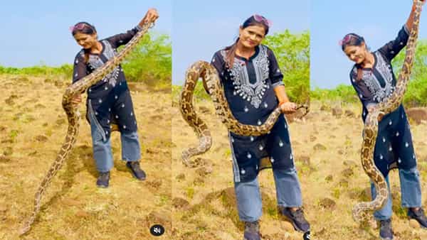 భారీ కొండచిలువతో ఆడుకుంటున్న మహిళ.. ఇంటర్నెట్ని షేక్ చేస్తోంది.. వీడియో చూస్తే వణుకే..!!