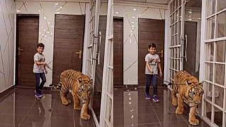 Nepal Earthquake: భయపెడుతున్న వరుస భూకంపాలు.. నేపాల్‌లో 158కి చేరిన మృతుల సంఖ్య..