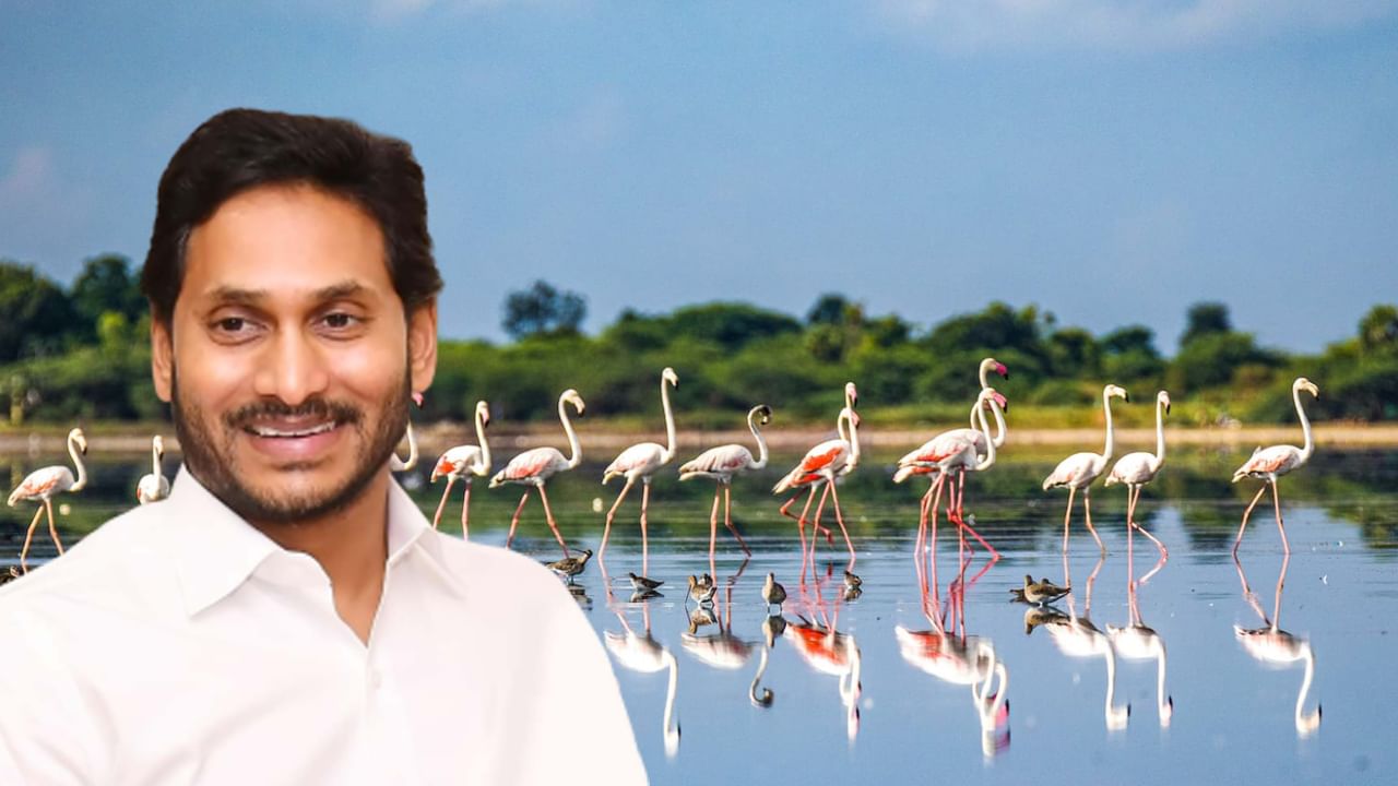 YS Jagan: నెరవేరబోతున్న దశాబ్దాల కల.. పులికాట్ సరస్సులో పూడికతీత పనులకు భూమిపూజ చేయనున్న సీఎం జగన్..