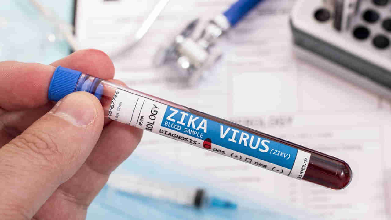 Zika Virus: బెంగళూరులో వెలుగులోకి వచ్చిన జికా వైరస్.. ఎలా వ్యాపిస్తుందో తెలుసా..?