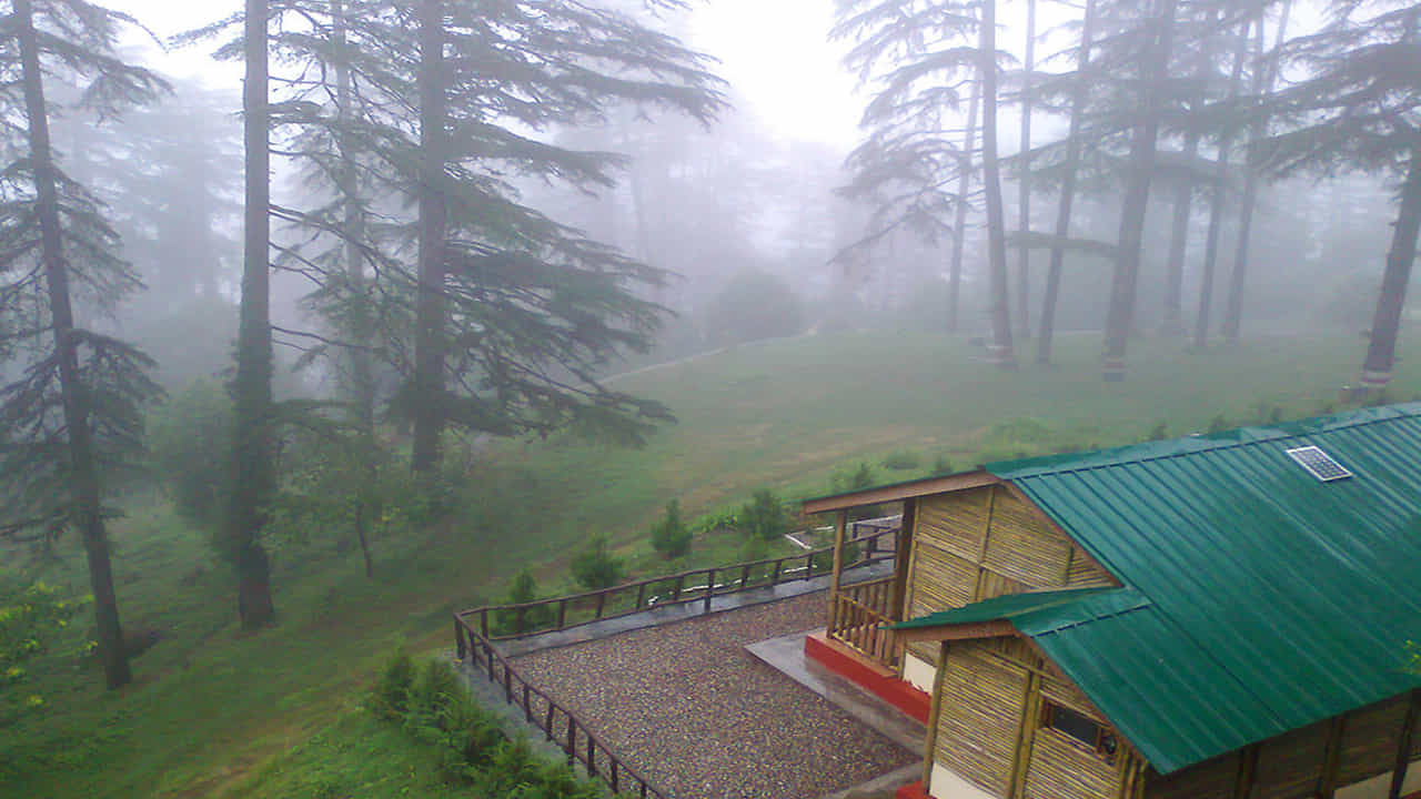 Dhanaulti- ఉత్తరాఖండ్లోని ధనౌల్తి శబ్దాన్ని ధనౌల్తి పదాలు వర్ణించలేవు. ఢిల్లీ, హర్యానా మరియు ఉత్తర ప్రాంతాలలో హిమపాతాన్ని ఆస్వాదించడానికి ప్రతి సంవత్సరం అనేక ప్రాంతాల నుండి వేలాది మంది పర్యాటకులు వస్తుంటారు.