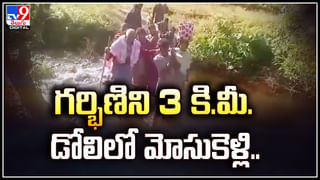 Viral: మొన్న టమాటా., ఇప్పుడు మిర్చి.. రెచ్చిపోయిన దొంగలు. వీడియో వైరల్.