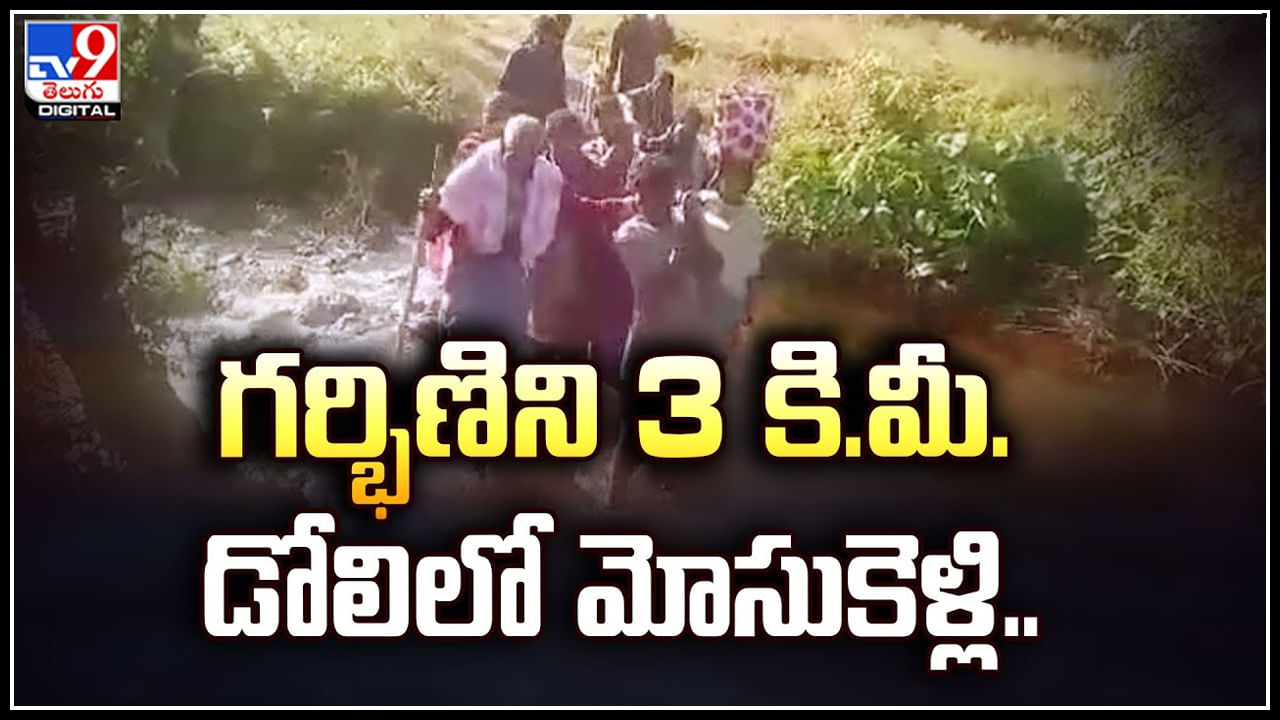 Viral: గర్భిణీని 3 కి.మీ. డోలిలో మోసుకెళ్లిన గ్రామస్తులు.. ఇప్పటికి గిరిజనులకు తప్పని కష్టాలు.