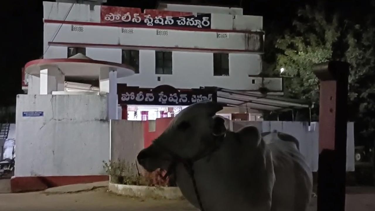 Viral Video: అమానవీయమైన ఘటన.. మూగజీవిపై పోలీస్ స్టేషన్‎లో కేసు నమోదు.. చివరకు ఏం జరిగిందంటే..