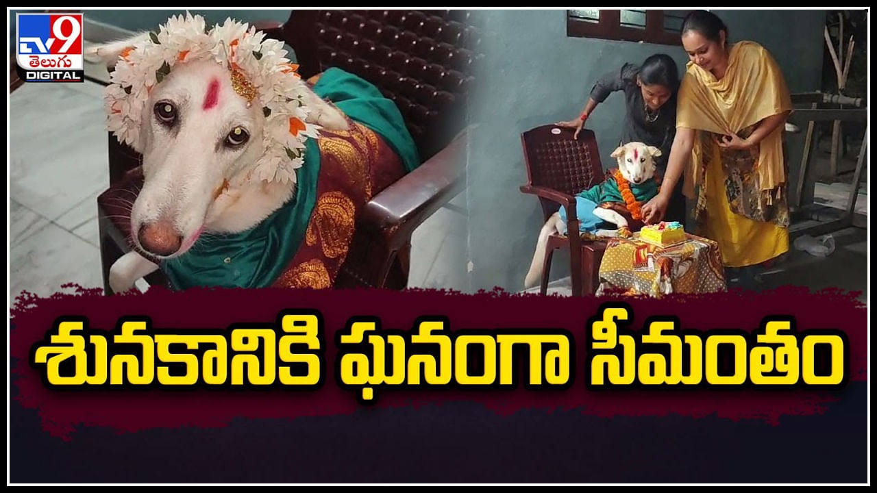 Dog Seemantham: కుక్కకు ఘనంగా సీమంతం చేసిన కుటుంబం.. అపురూపమైన సన్నివేశం