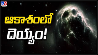 Metro Train: మెట్రోలో ఇదేం లొల్లిరా నాయనా.. ఇద్దరు వ్యక్తుల మధ్య ఫైటింగ్..  పంచులతో రెచ్చిపోయారు