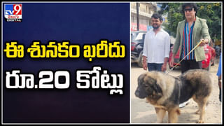 Viral Video: ఏనుగు పిల్లను కాపాడిన యువతి.. కృతజ్ఞతగా ఆ ఏనుగు ఏంచేసిందో తెలుసా..!