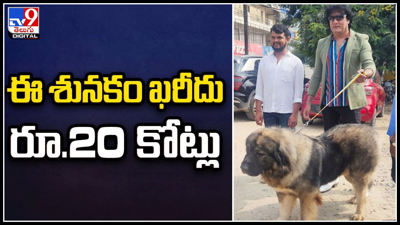 Rare Dog: ఈ శునకం ఖరీదు రూ.20 కోట్లు..! అరుదైన శునకంతో ఫోటోలకోసం ఎగబడిన జనం.