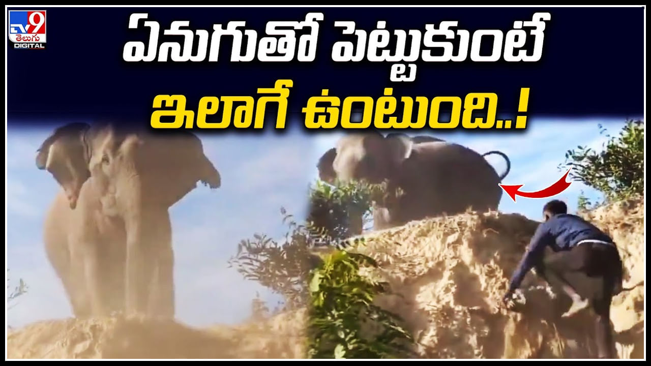 Elephant: ఏనుగుతో పెట్టుకుంటే ఇలాగే ఉంటుంది.! వైరల్‌ అవుతున్న ఏనుగు వీడియో.