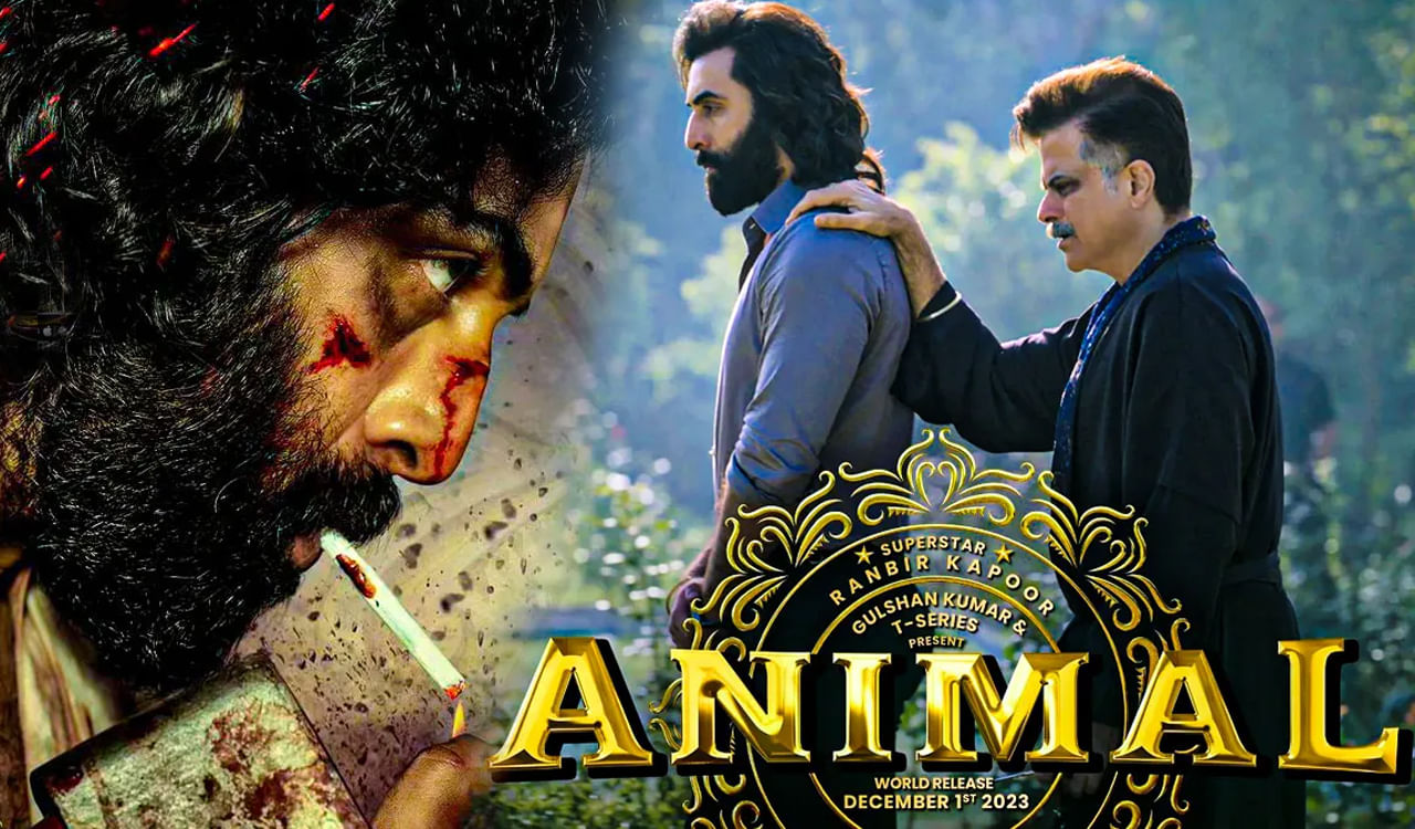 ఓటీటీల ప్రభావం వల్ల ఇప్పుడు బోల్డ్ కంటెంట్కి, వయొలెన్స్ కి జనాలు కాస్త బాగానే అలవాటు పడ్డారనే అనుకోవాలా? అదే యానిమల్కి కోట్లు కొల్లగొట్టిపెడుతోందని ఫిక్సవ్వాలా? 2023లో యానిమల్ని యాక్సెప్ట్ చేసిన జనాలు, రానున్న కాలంలో స్పిరిట్ని, బన్నీ సినిమానూ సందీప్ కంటెంట్తో యాక్సెప్ట్ చేయడానికి మానసికంగా ప్రిపేర్ అవుతారని భావించాలా? ఎవరి ఆలోచనలు ఎలా ఉన్నా, ఇవి నా మార్కు సినిమాలు అంటూ ఇప్పటికే ఓ ఇంపాక్ట్ క్రియేట్ చేశారు సందీప్. దాన్ని అర్థం చేసుకుని, మన హీరోలు ఆయన ఫ్రేమ్లో ఎలా ఫిట్ అవుతారన్నది అందరికీ ఆసక్తి కలిగిస్తున్న విషయం.