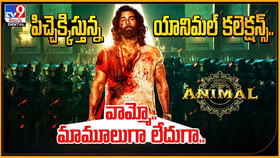 పిచ్చెక్కిస్తున్న యానిమల్ కలెక్షన్స్.. వామ్మో.. మామూలుగా లేదుగా. పిచ్చెక్కిస్తున్న యానిమల్ కలెక్షన్స్.. వామ్మో.. మామూలుగా లేదుగా.