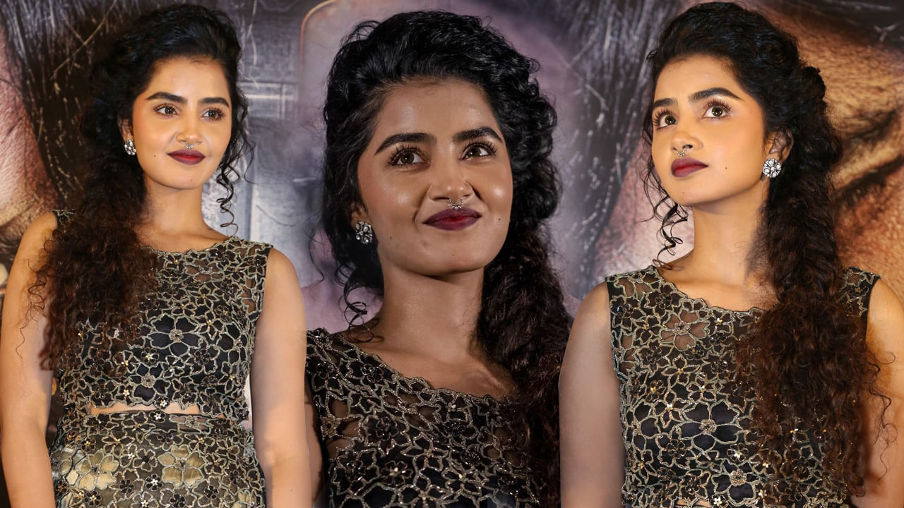 Anupama Parameswaran రూట్ మార్చిన అనుపమ.. నెక్స్ట్ బాలీవుడ్ లోకి