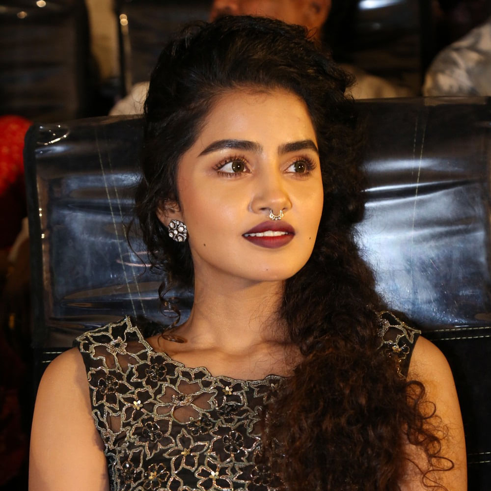 Anupama Parameswaran రూట్ మార్చిన అనుపమ.. నెక్స్ట్ బాలీవుడ్ లోకి