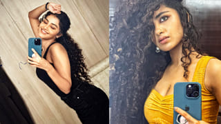 Animal Movie: బాక్సాఫీస్ దగ్గర దూసుకుపోతున్న యానిమల్.. ఇప్పటివరకు ఎంత వసూల్ చేసిందంటే