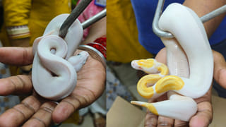 Court judgment: బాలికపై అత్యాచారంలో కేసులో సంచలన తీర్పు.. యువకుడికి 60 ఏళ్ల జైలు శిక్ష..!