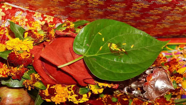 Betel Leaves: తమలపాకులేని పూజ, శుభకార్యాలు అసంపూర్ణం.. దీనివెనుక ఉన్న పురాణ కథ ఏమిటంటే