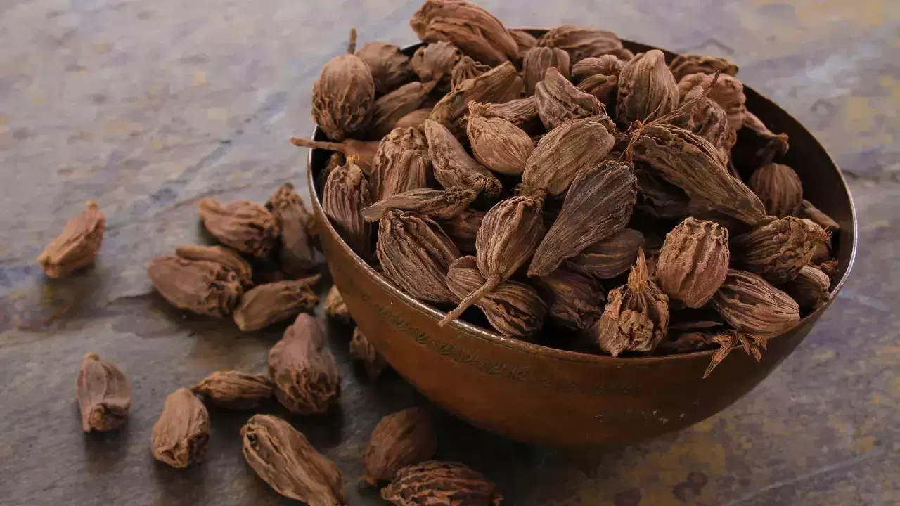 Benefits of Black Cardamom: నల్ల యాలకుల్లో దాగి ఉన్న ఆరోగ్య రహస్యాలు.. తెలిస్తే ఆశ్చర్య పడతారు!