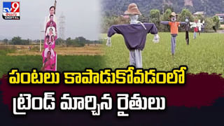 అతిపెద్ద వజ్రాల భవనం చూశారా ?? వీడియో ఇదిగో